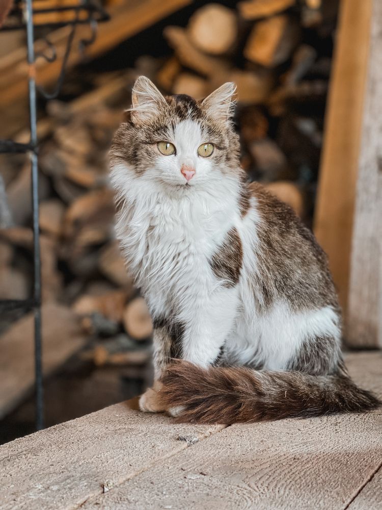 Photograph by Анастасия Юсова