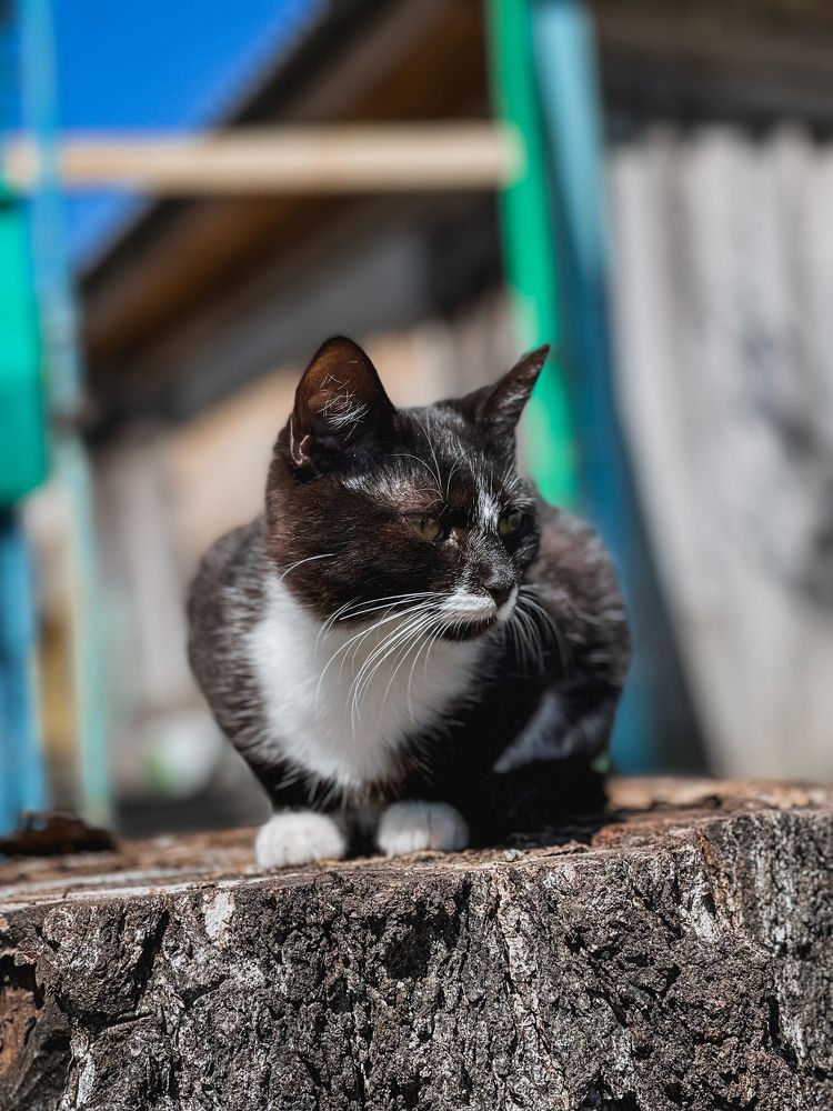 Photograph by Анастасия Юсова