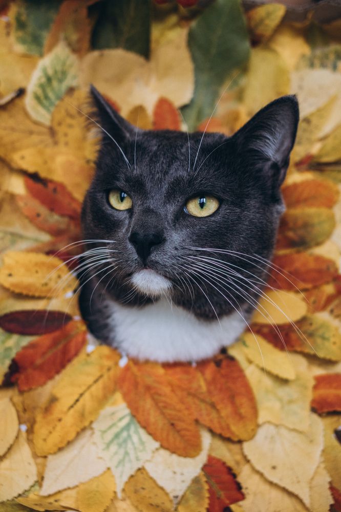 Photograph by Гузель Миникаева