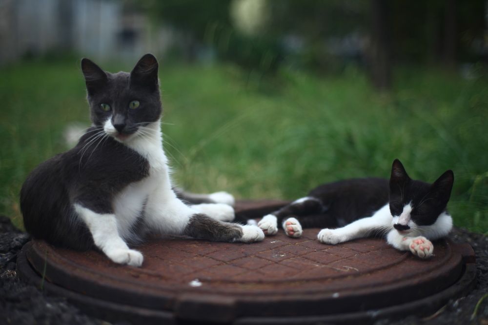 Photograph by Milla Luca