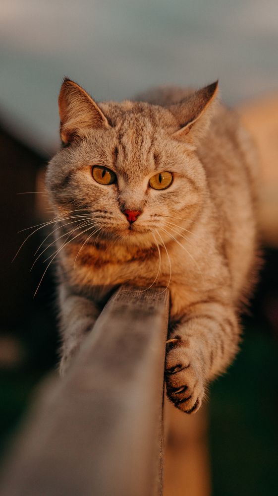 Photograph by Евгений Калагаев