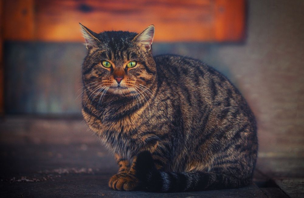 Photograph by Ольга Попова