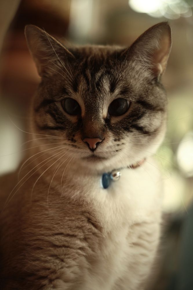 Photograph by Milla Luca