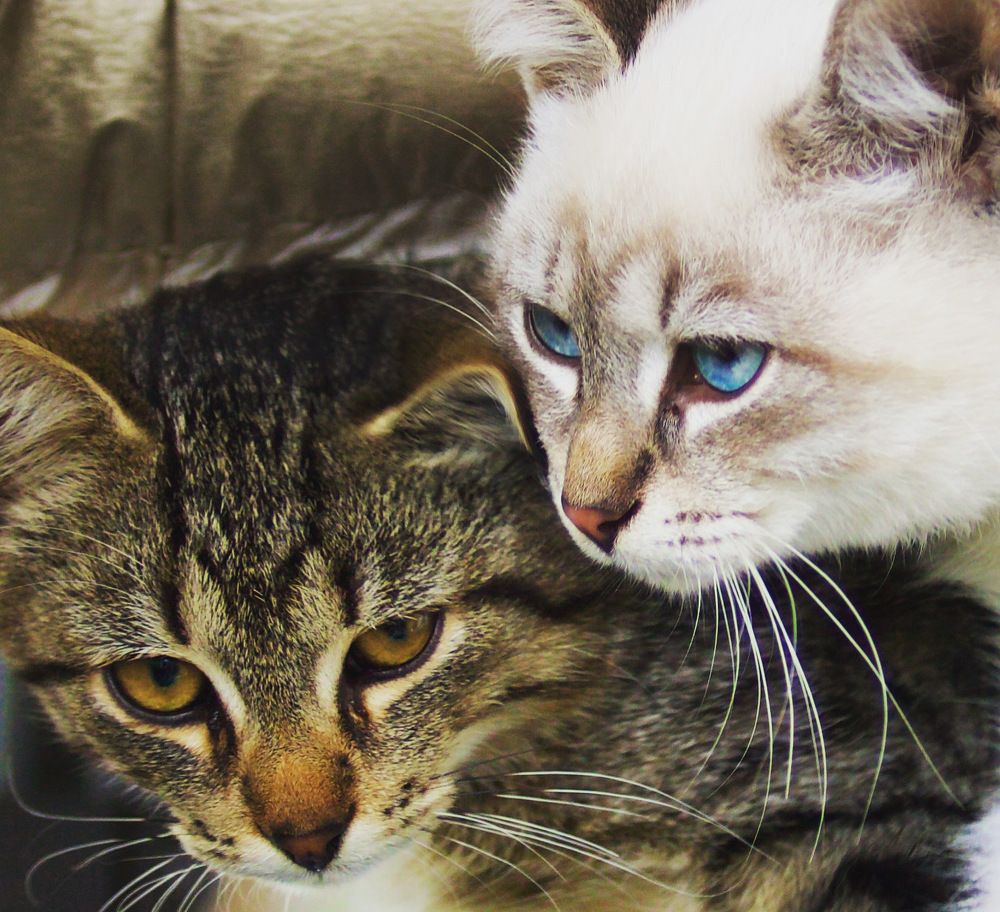 Photograph by Елена Ковалева