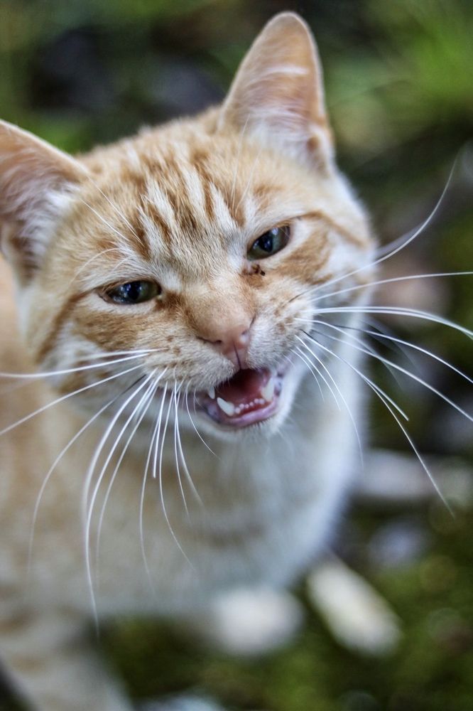 Photograph by Елена Ковалева