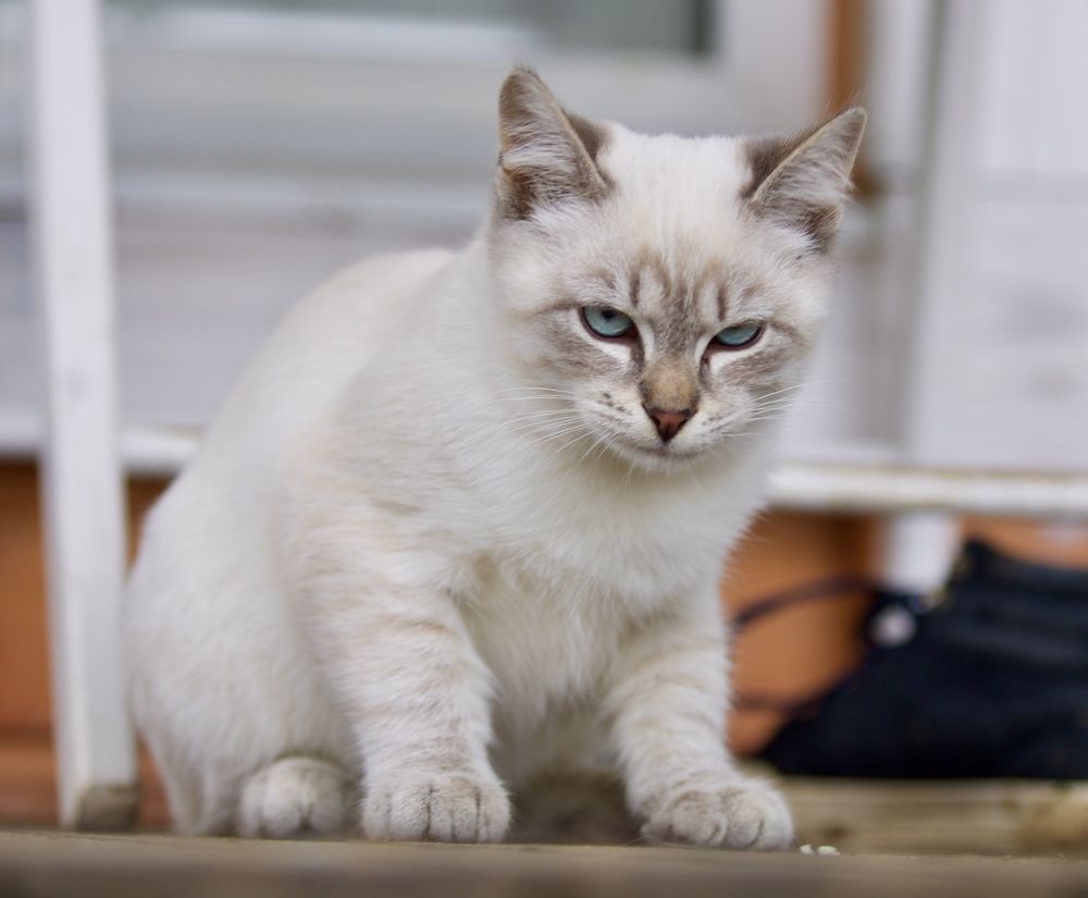 Photograph by Елена Ковалева