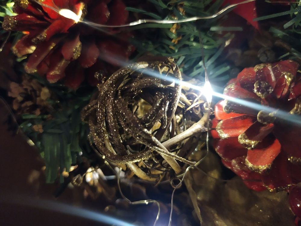 Photograph by Софья Белоногова