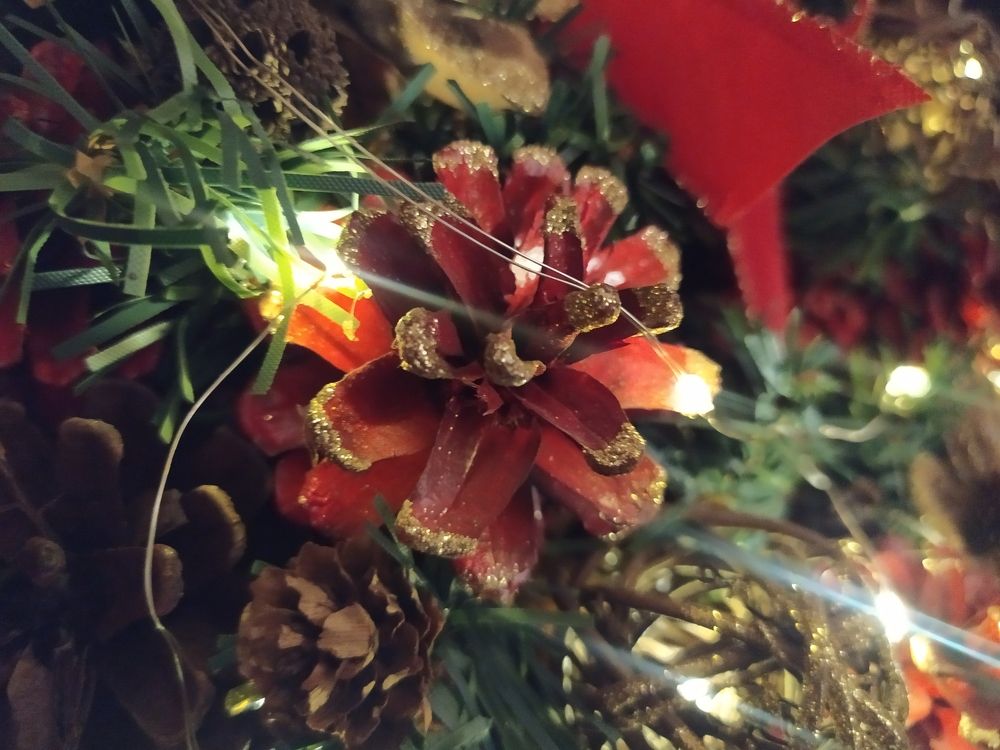 Photograph by Софья Белоногова