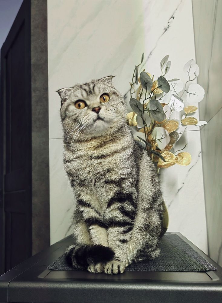 Photograph by Натaха