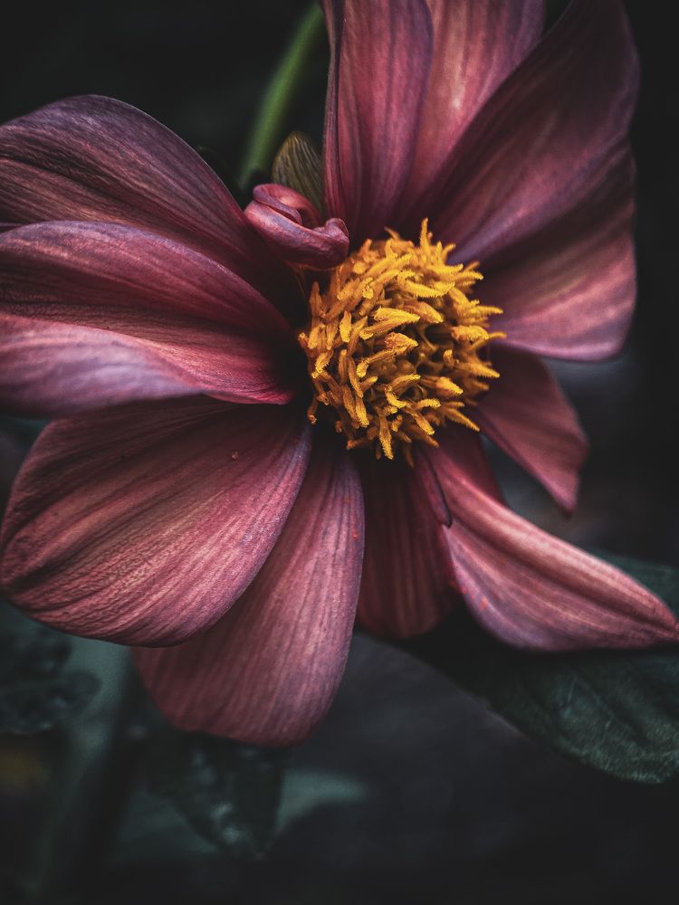 Photograph by Мария Акимова