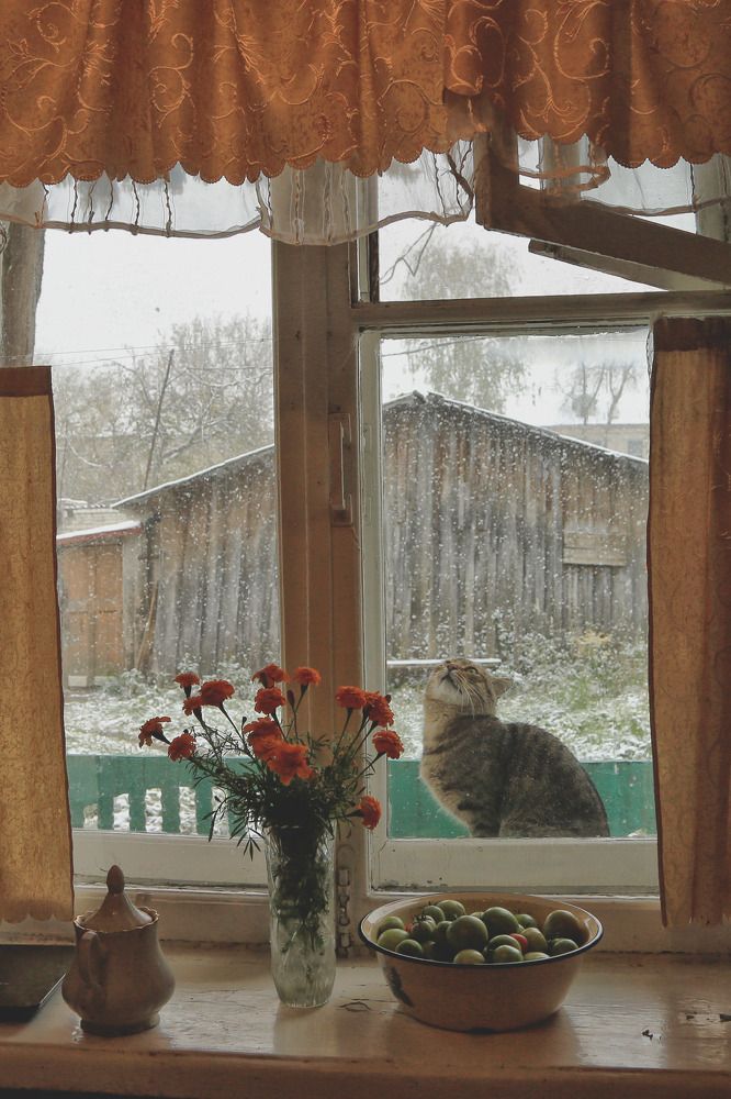 Photograph by Моложников Юрий