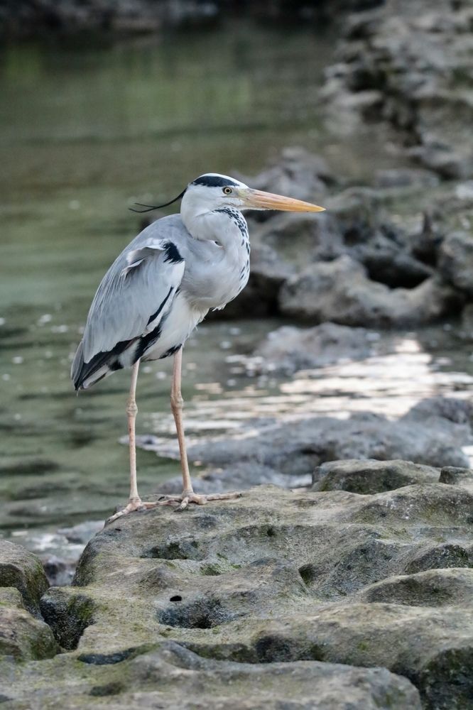 Photograph by Елена Ковалева