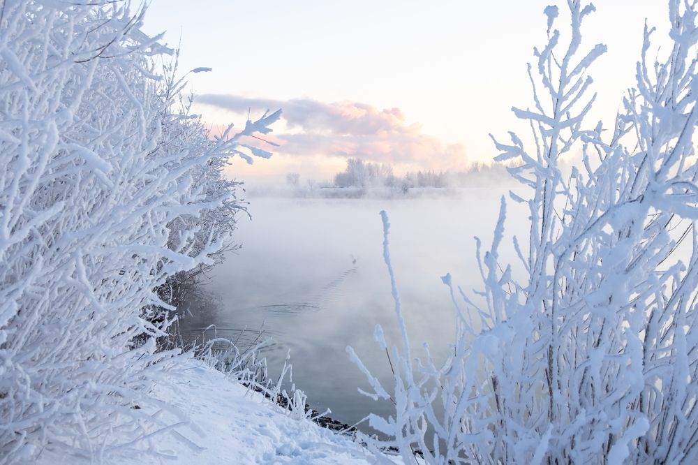 Photograph by Евгения Аникиева