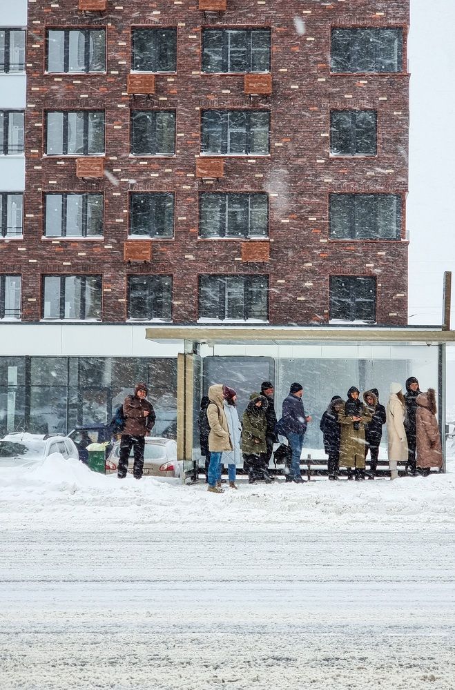 Фотография автора Светлана Алексеева