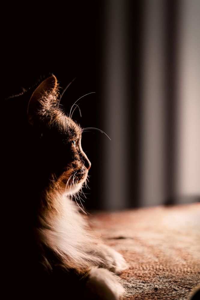 Photograph by Ольга Козыренко