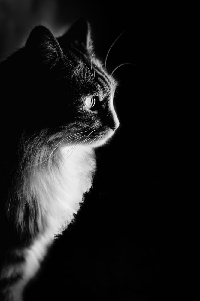 Photograph by Ольга Козыренко