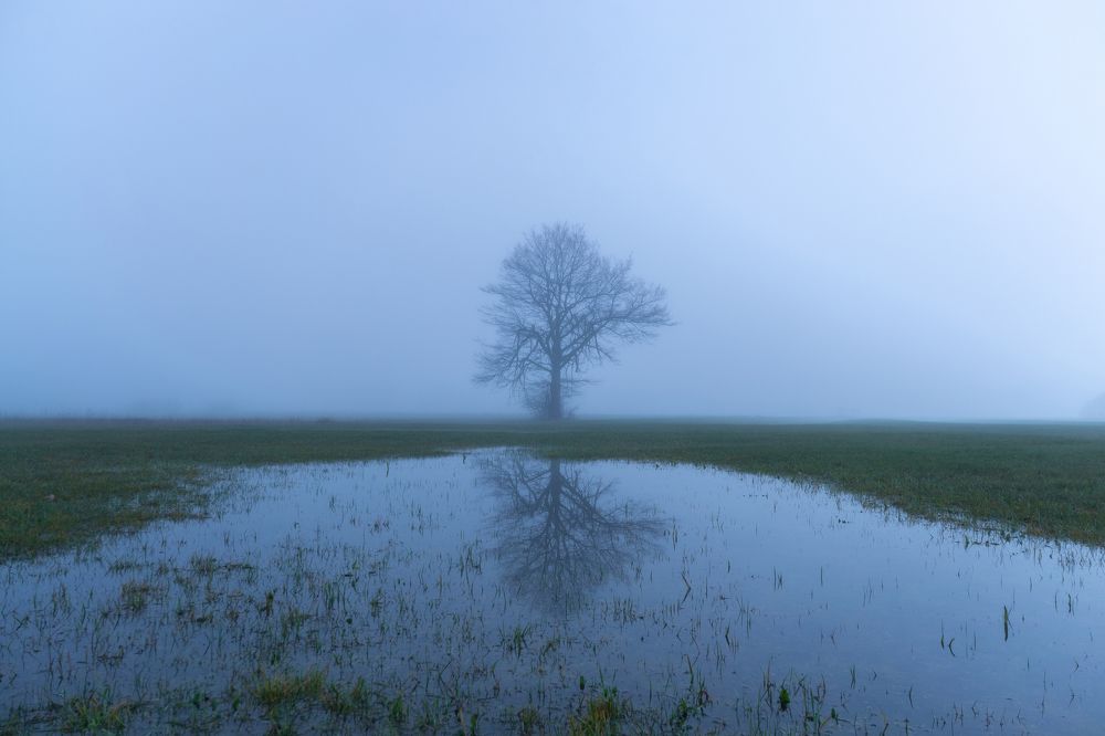 Photograph by Fahrudin Seferagić