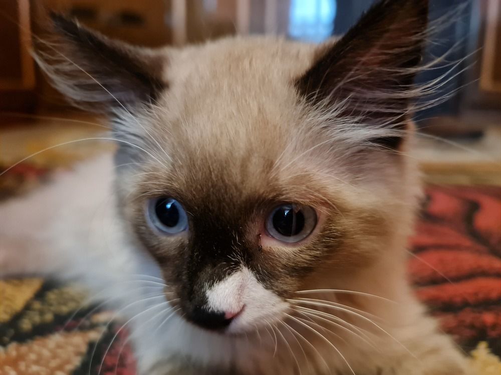 Photograph by Илья