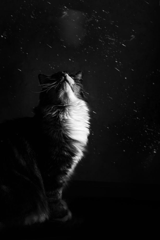 Photograph by Ольга Козыренко