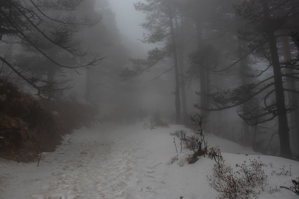 Photograph by Susobhan Biswas