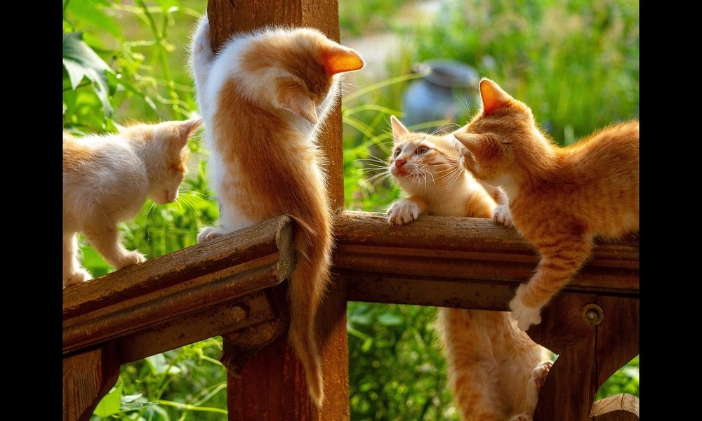 Photograph by Владимир