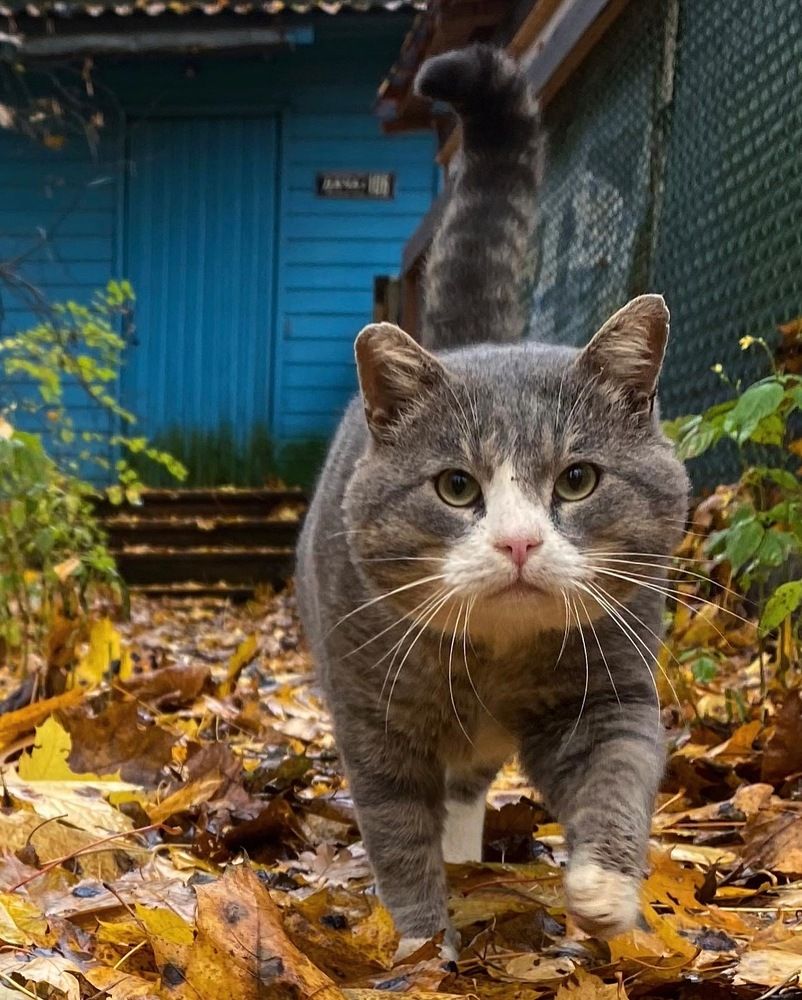 Photograph by Светлана Коган