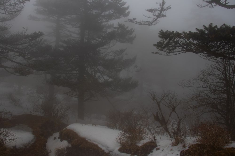 Photograph by Susobhan Biswas