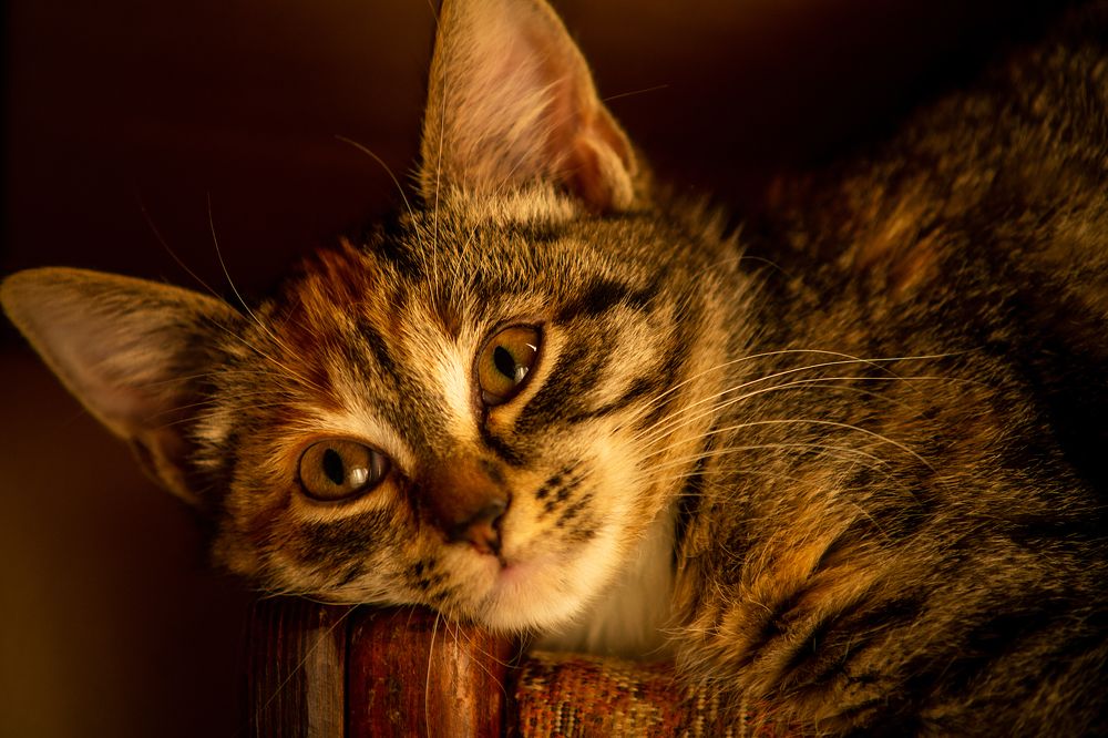 Photograph by Владимир