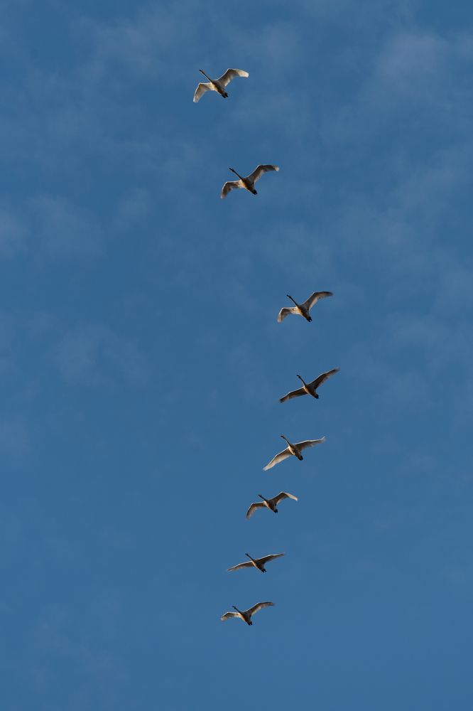 Photograph by Анна Новосельцева