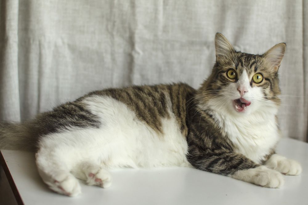 Фотография автора Людмила Куприянова