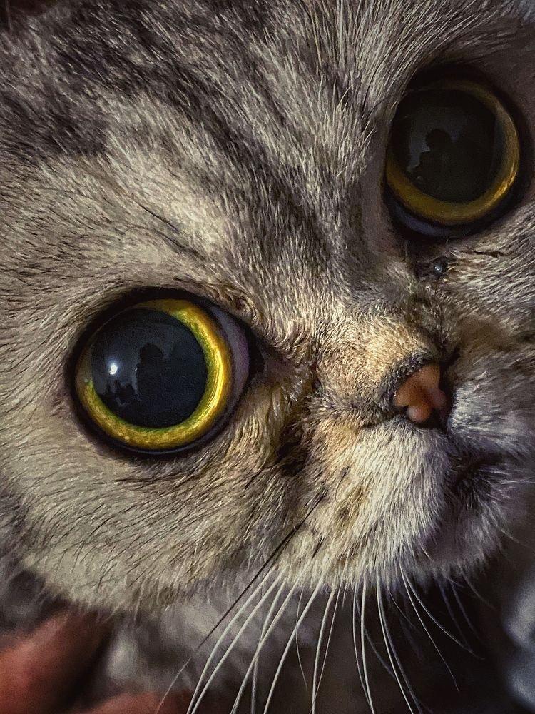 Photograph by Evgenia Privalova