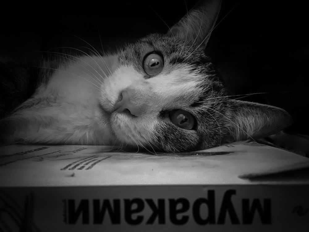 Фотография автора Sergey Sokolovsky