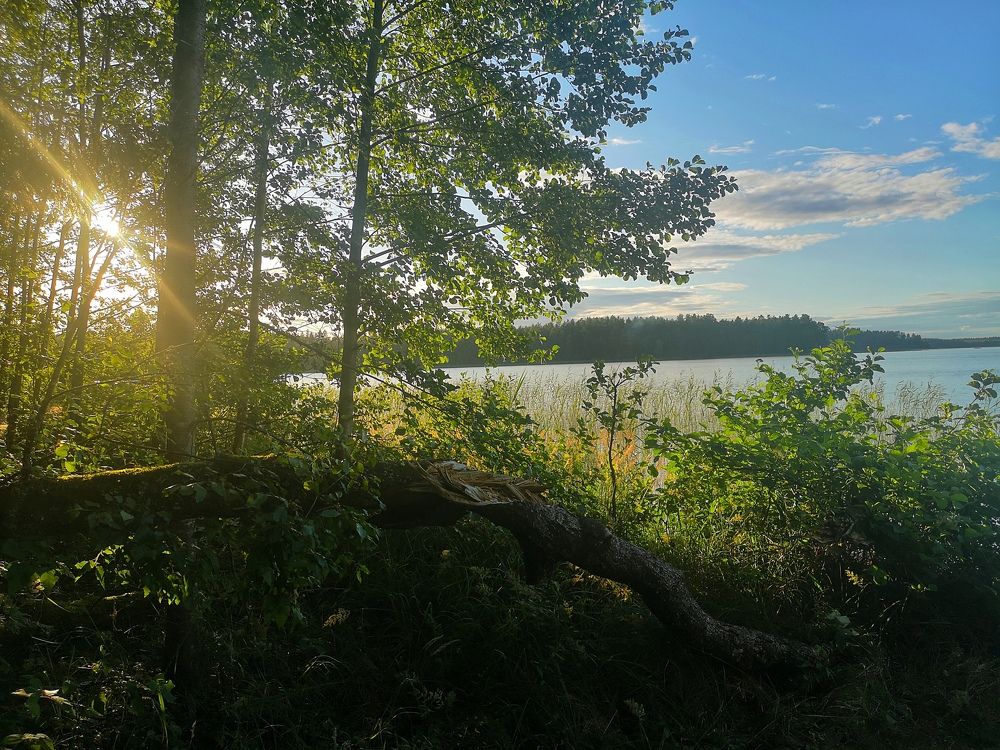 Photograph by Екатерина Борисовна Кузьмина