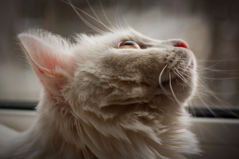 Photograph by Федоров Денис