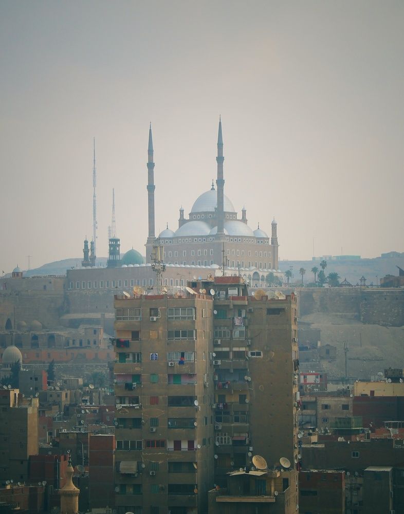 Photograph by Dina Mohamed