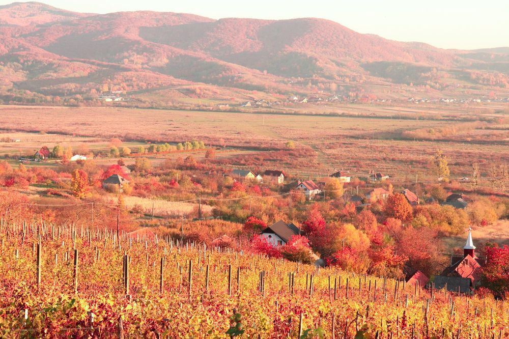 Photograph by Ch Ancuta