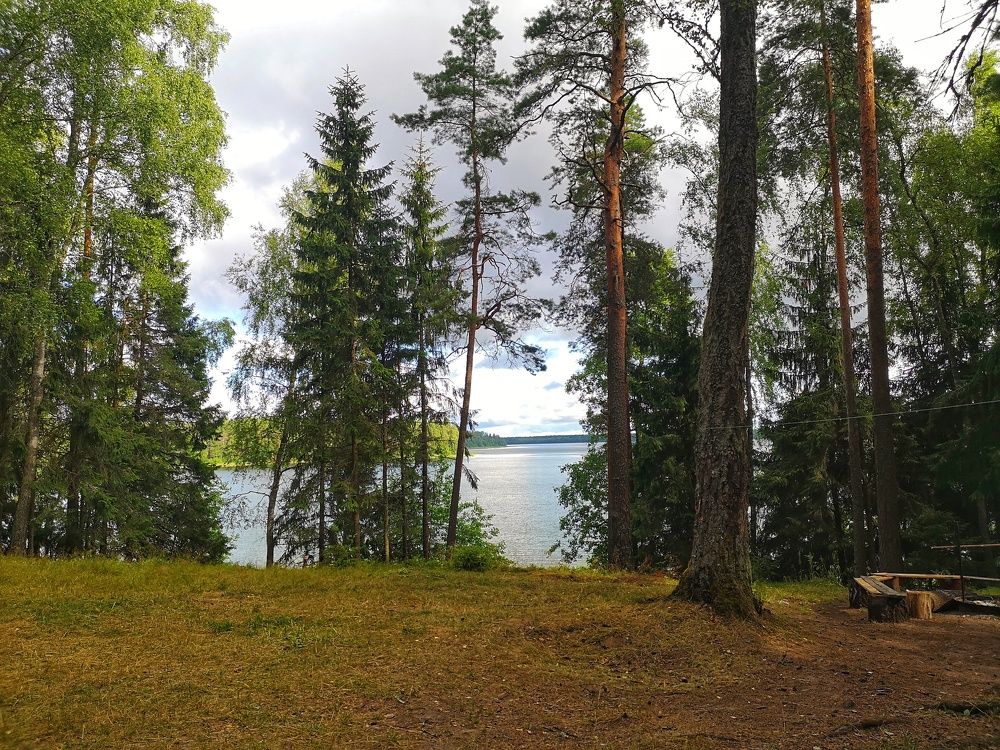 Photograph by Екатерина Борисовна Кузьмина