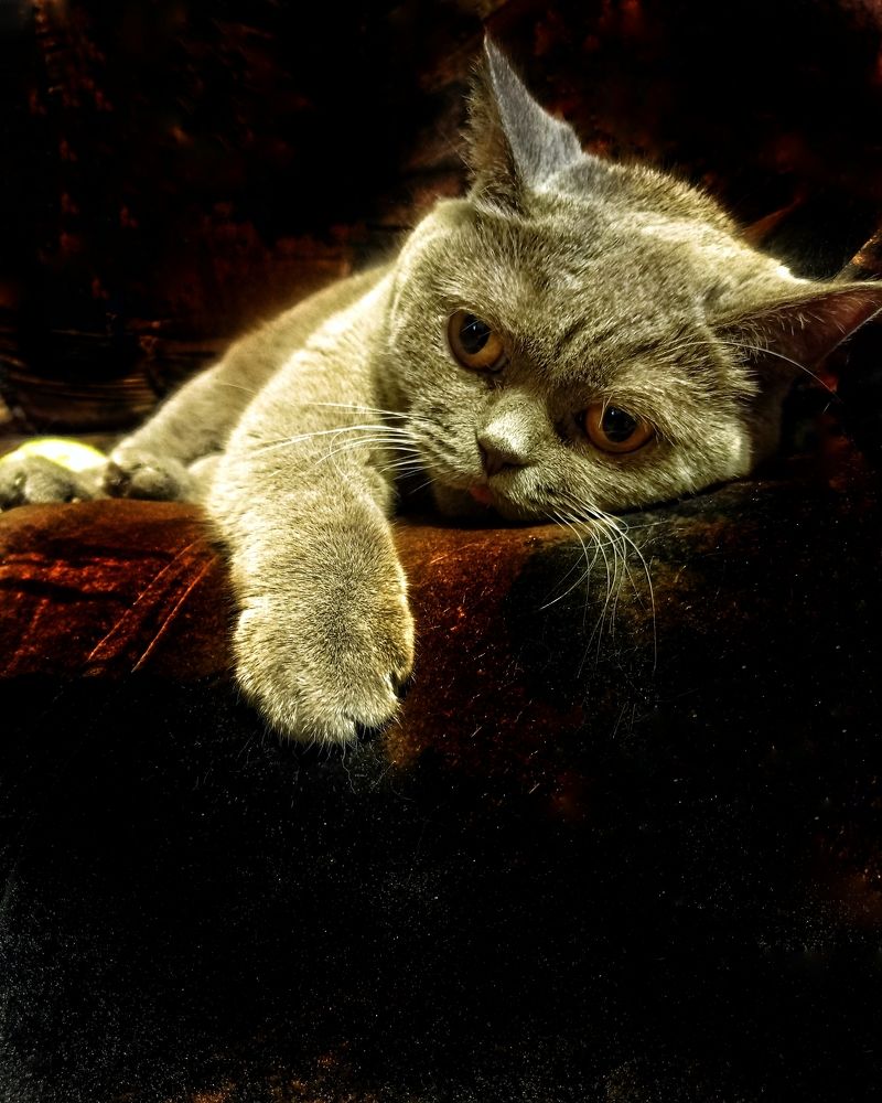 Photograph by Ольга Третьякова