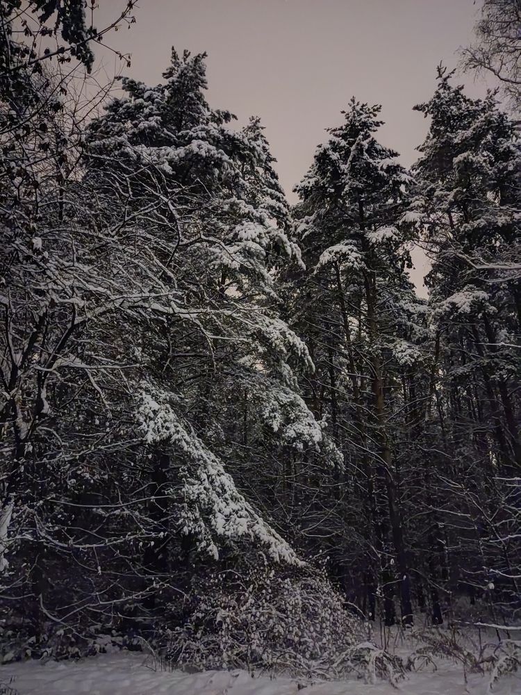 Photograph by Влад Барышов