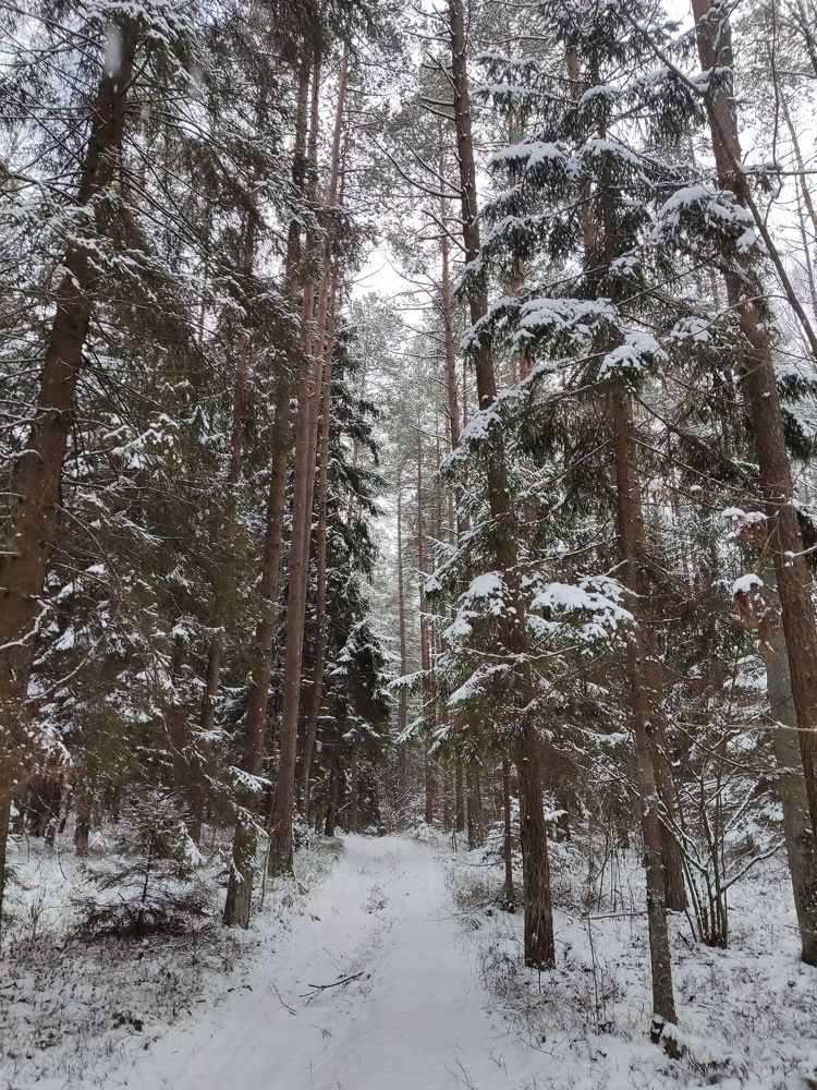 Photograph by Влад Барышов