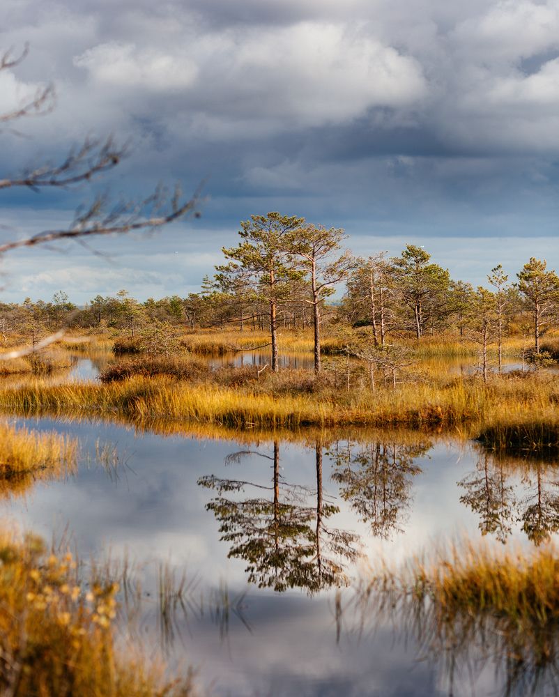 Photograph by Анастасия Моисеенко