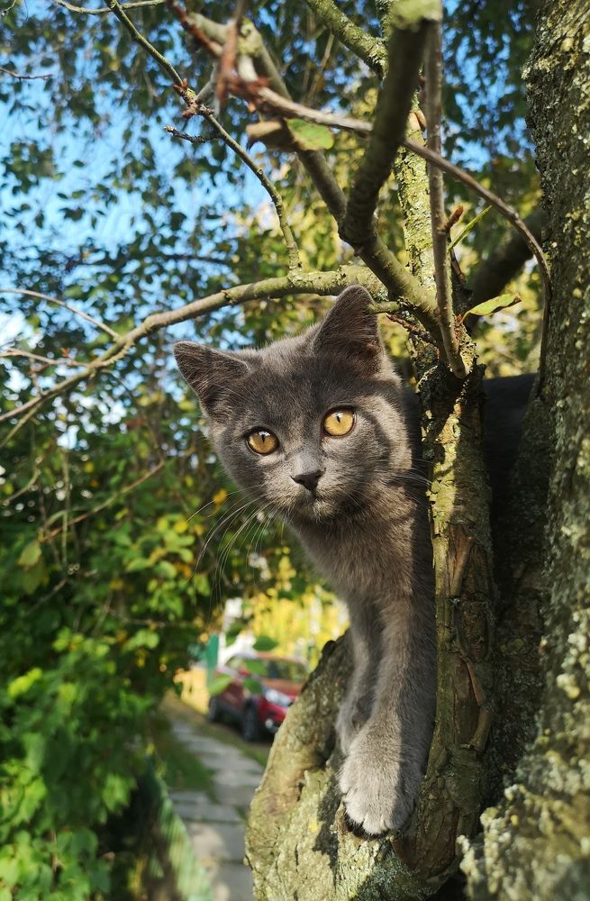 Photograph by Екатерина Борисовна Кузьмина