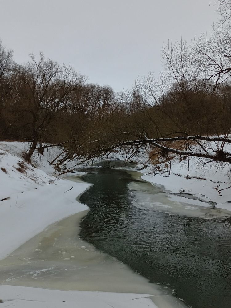 Photograph by Зоя Кулько