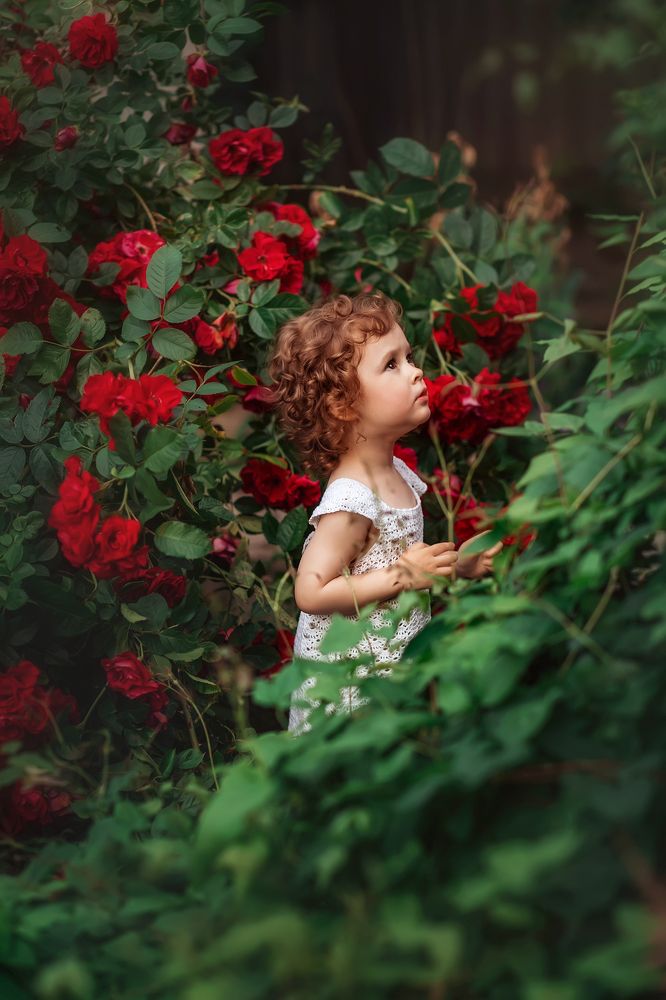 Photograph by Ольга Додонова