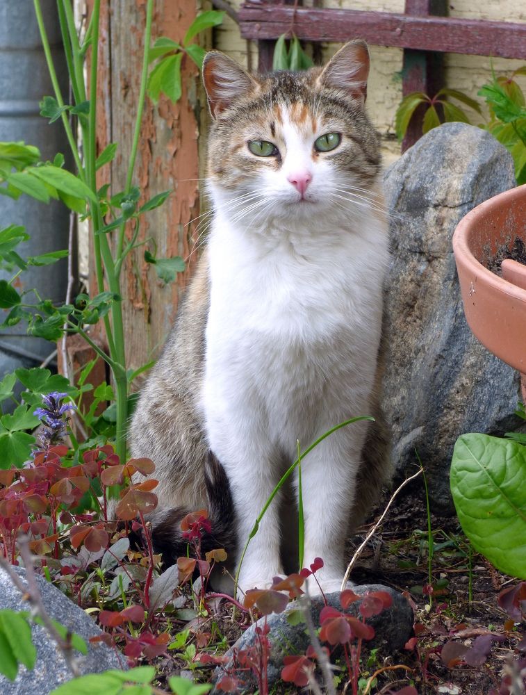 Photograph by Pjotr Alekseev