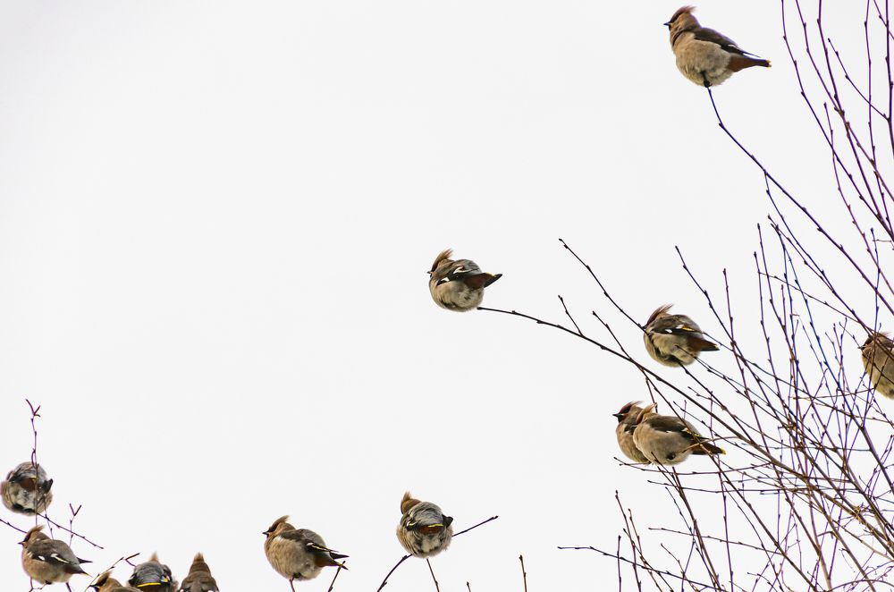 Photograph by Кирилл Шарапов