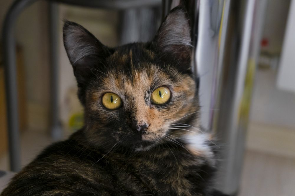 Photograph by Евгения Аникиева