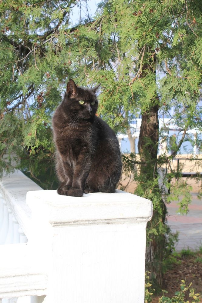 Photograph by Владимир