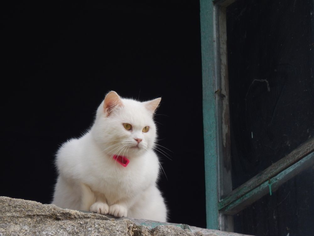 Photograph by Владимир