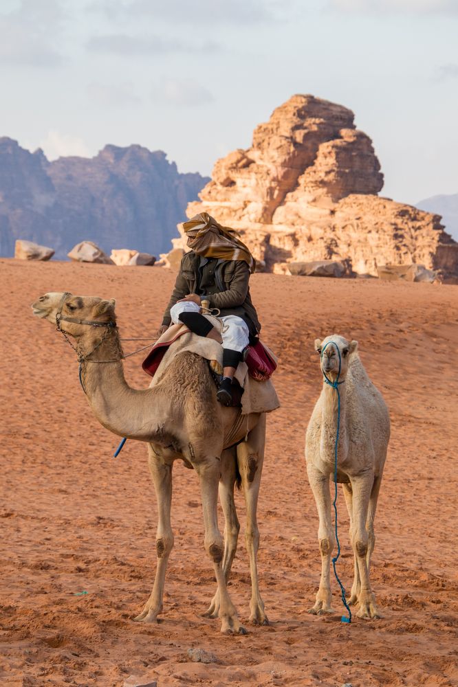 Photograph by Татьяна Мохова